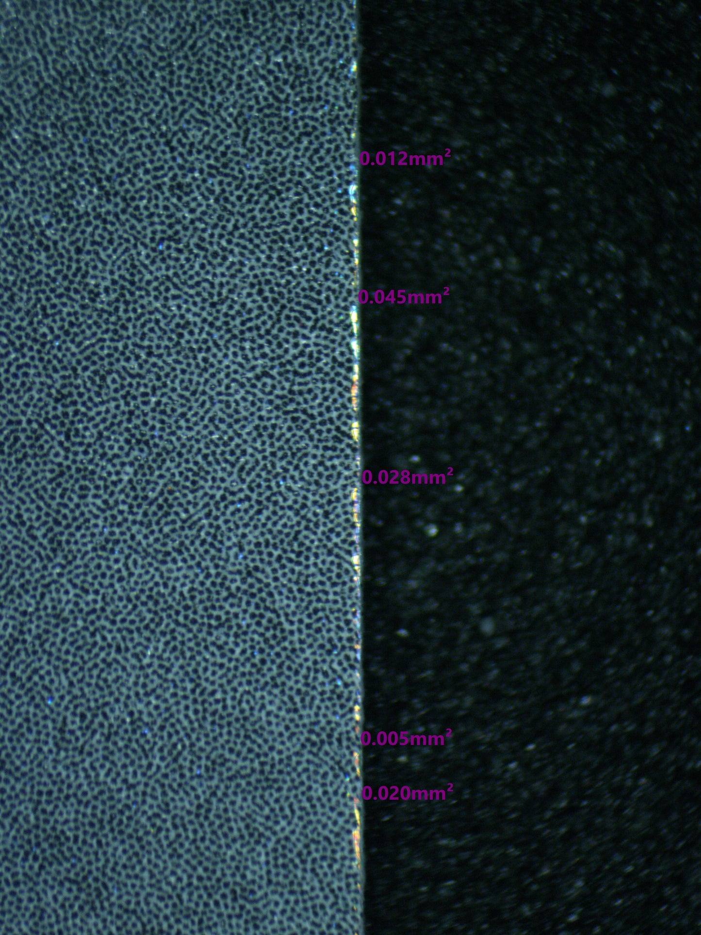 03296 GLOOM - ValueUp