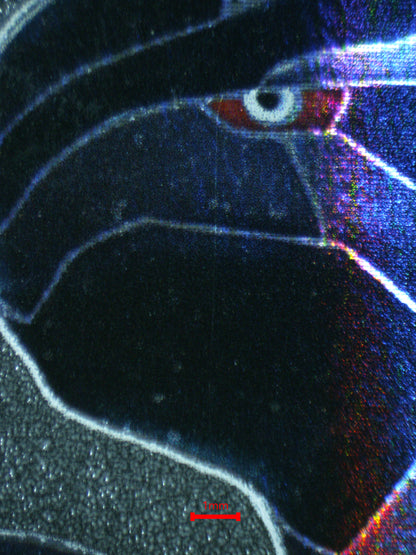 03345 ZEKROM - ValueUp