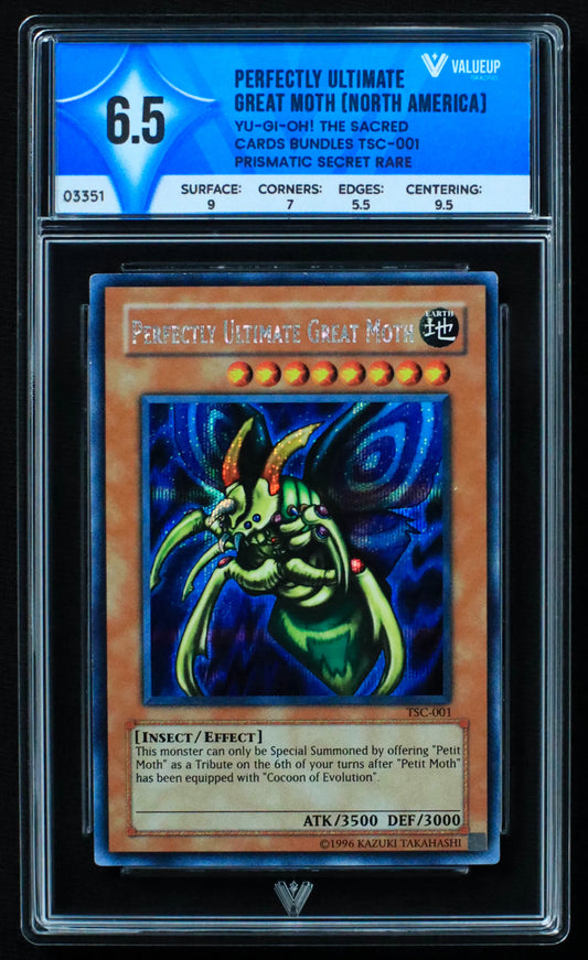 03351 PERFECTLY ULTIMATE GREAT MOTH (NORTH AMERICA) - ValueUp