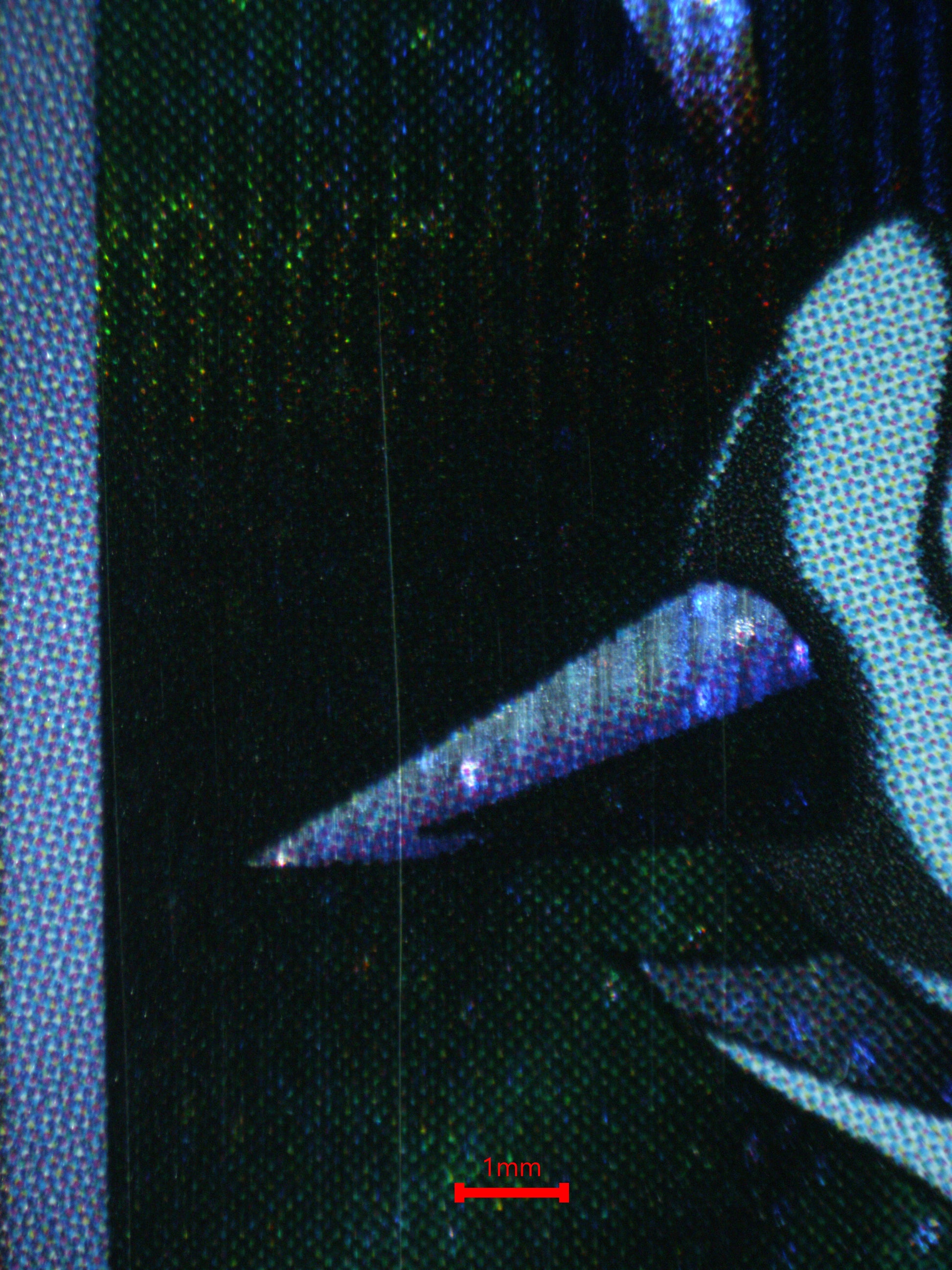 03353 METALZOA (NORTH AMERICA) - ValueUp