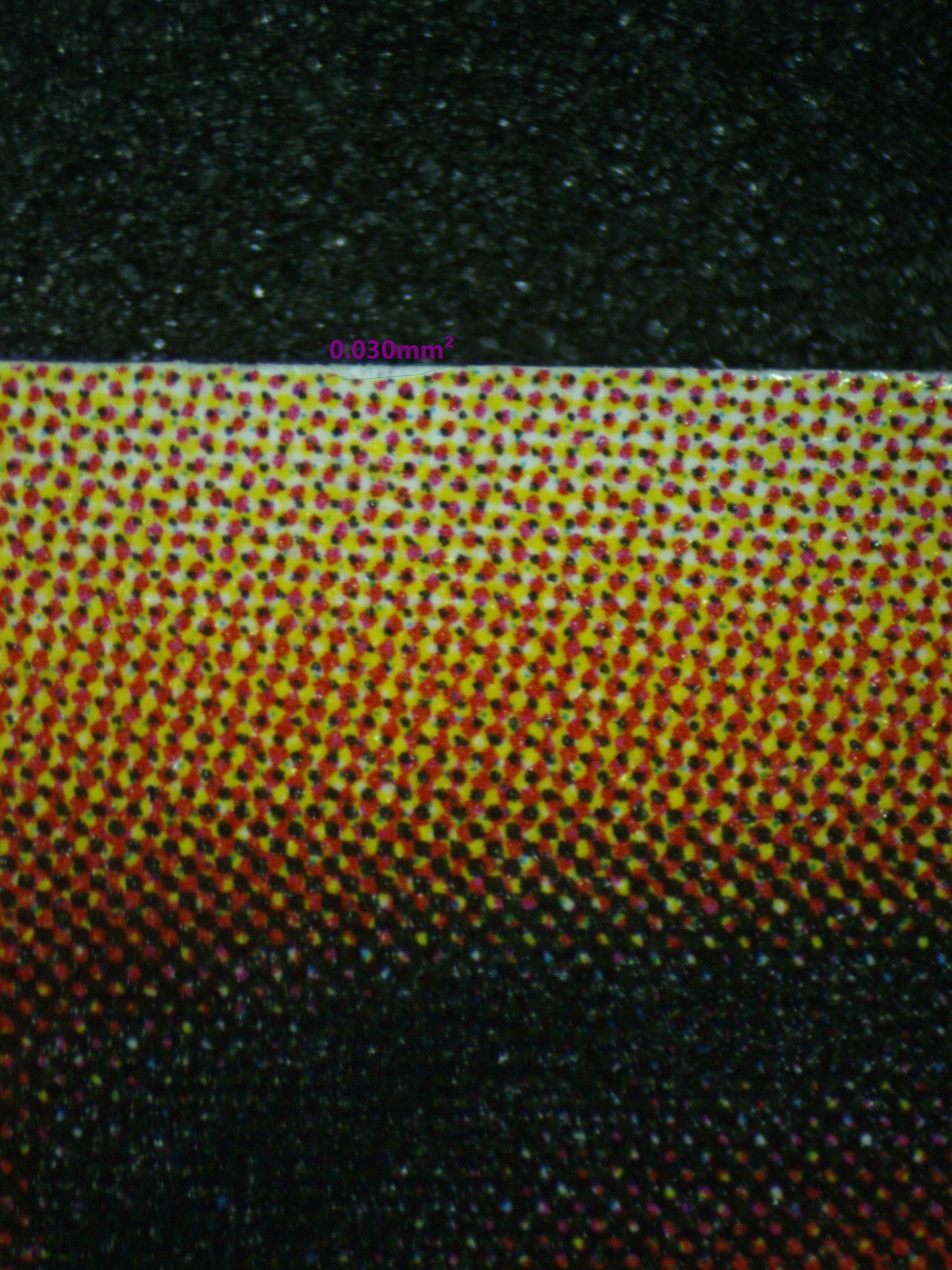 03477 EXOSISTERS MAGNIFICA - ValueUp