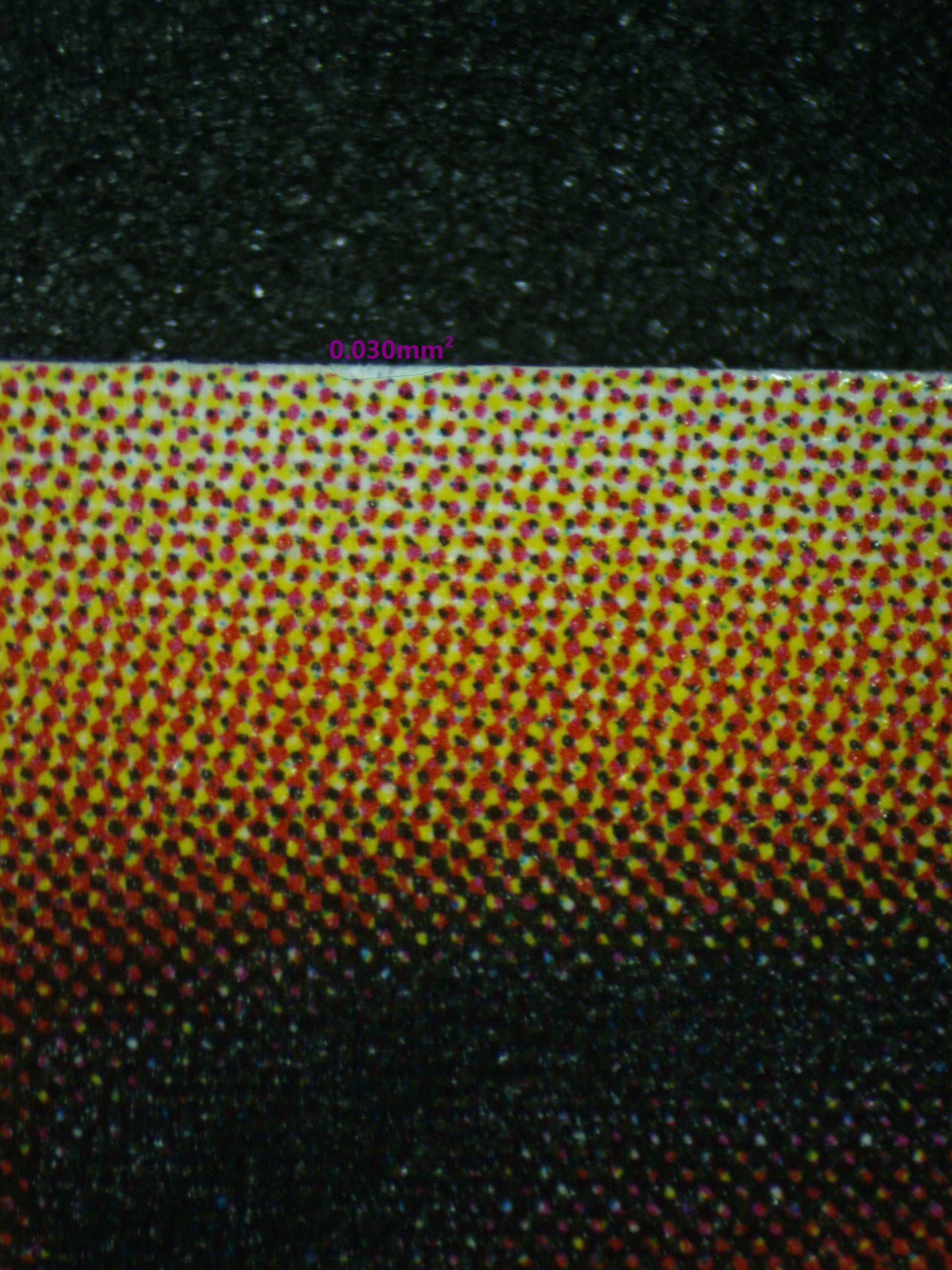 03477 EXOSISTERS MAGNIFICA - ValueUp