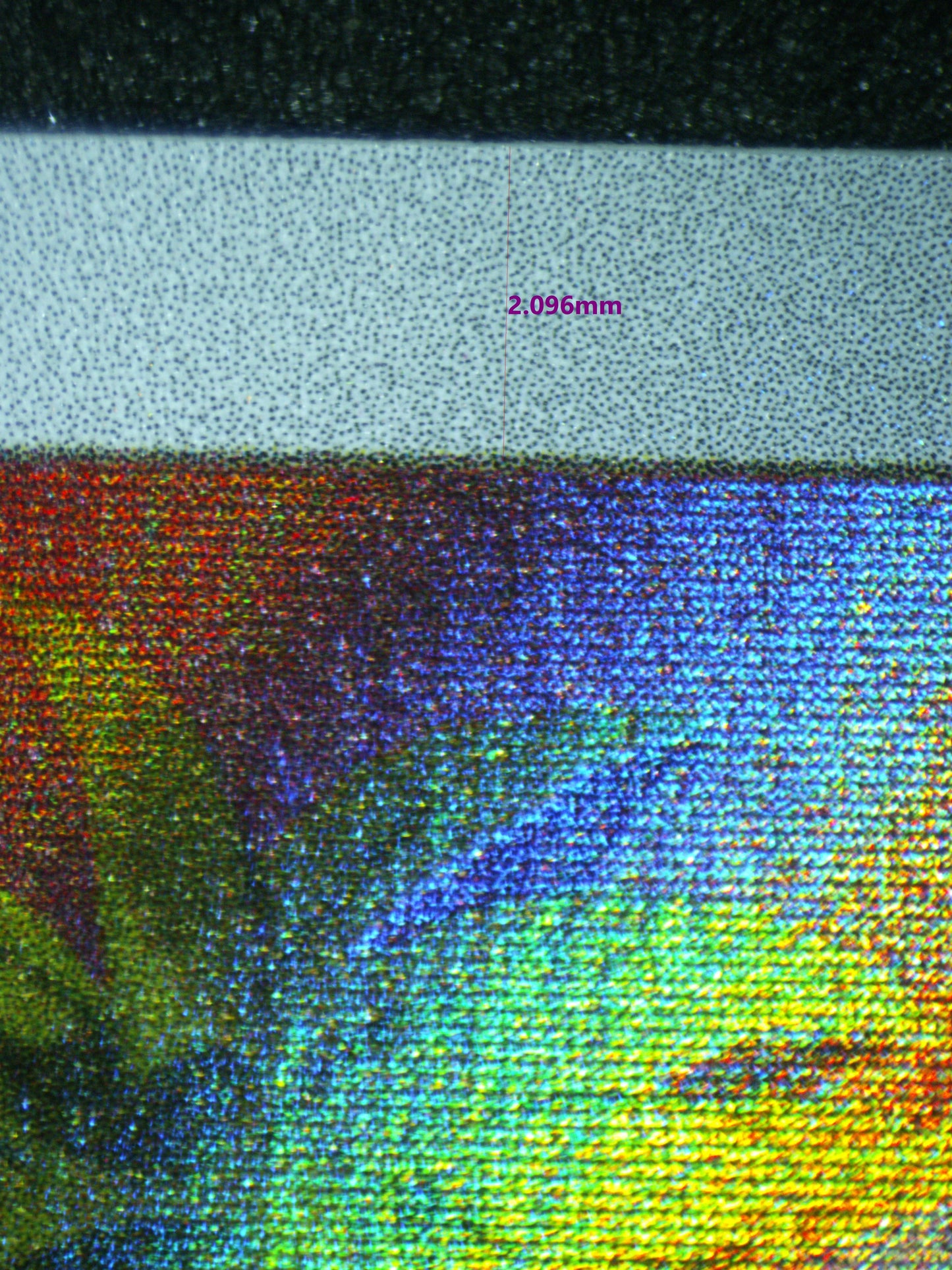 03604 BULBASAUR (SPANISH) - ValueUp