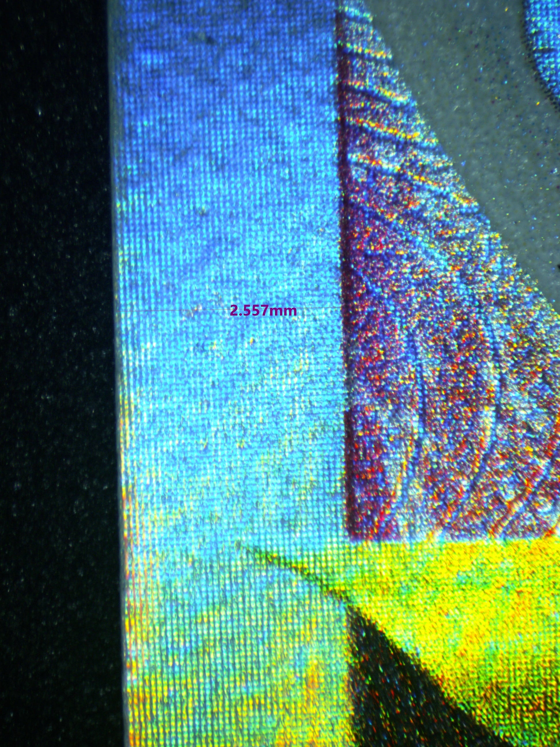 03618 LUGIA VSTAR - ValueUp