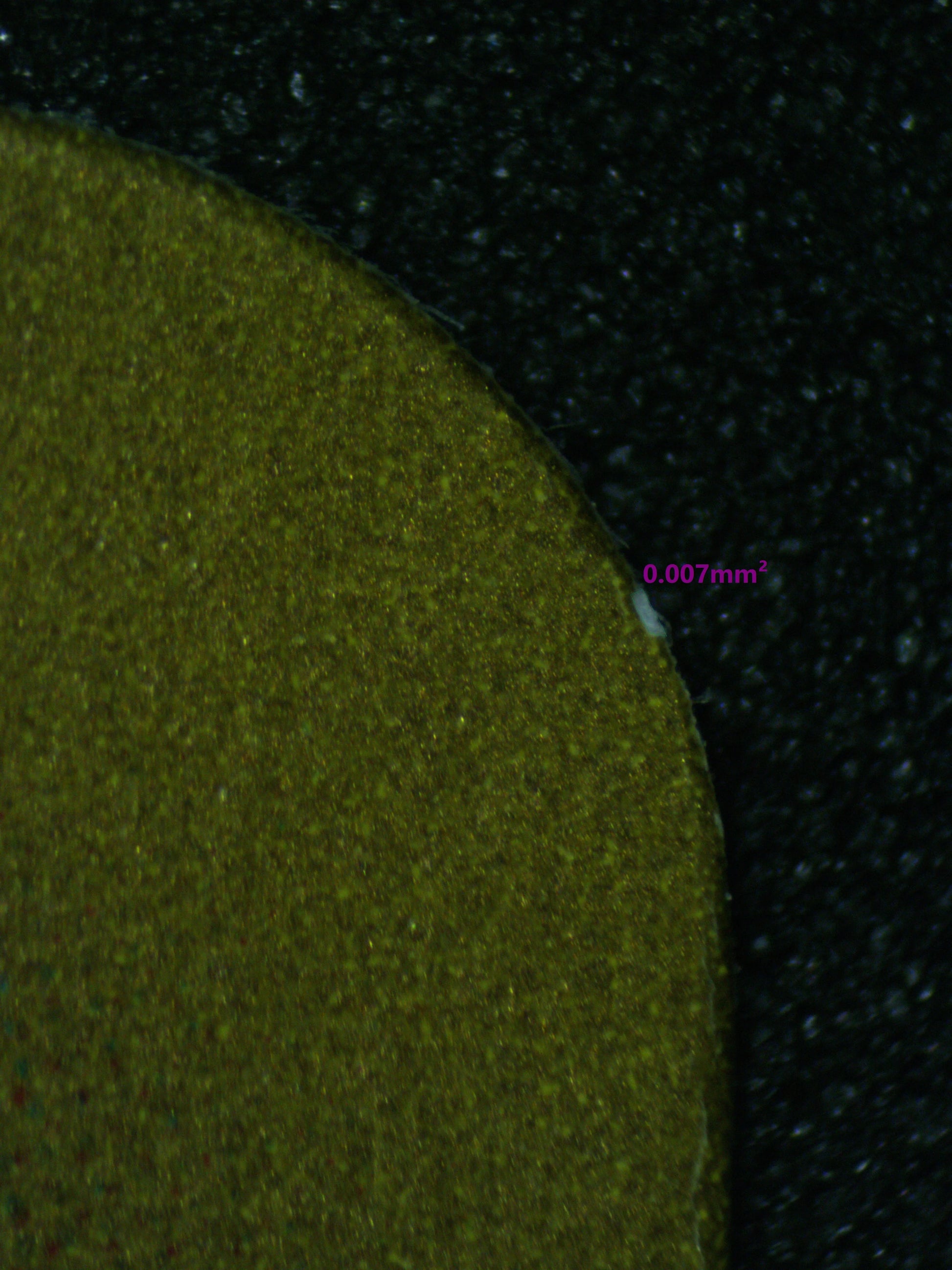 03621 BLASTOISE EX (JAPANESE) - ValueUp