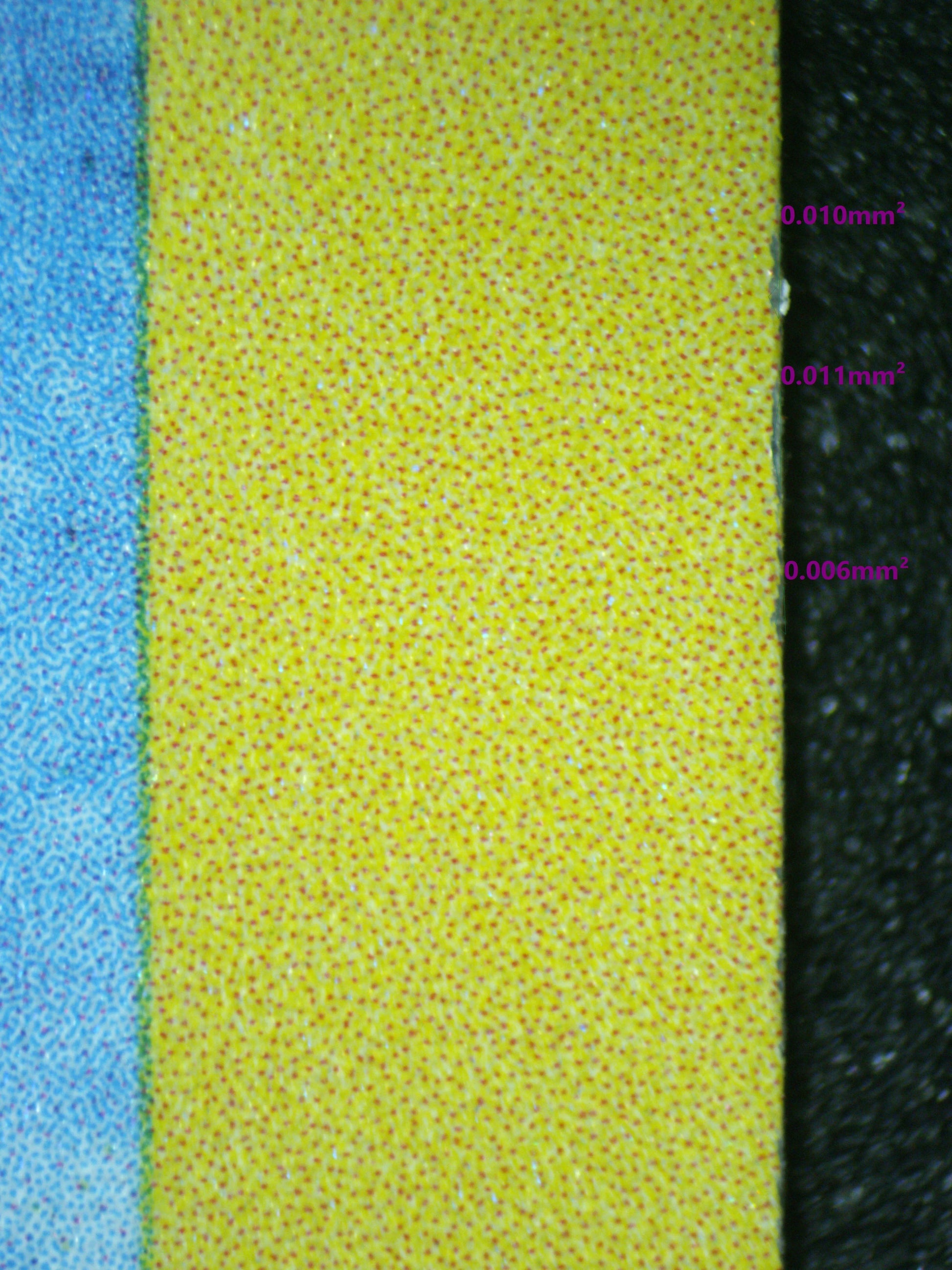 03640 WARTORTLE - ValueUp