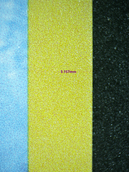 03641 WARTORTLE - ValueUp