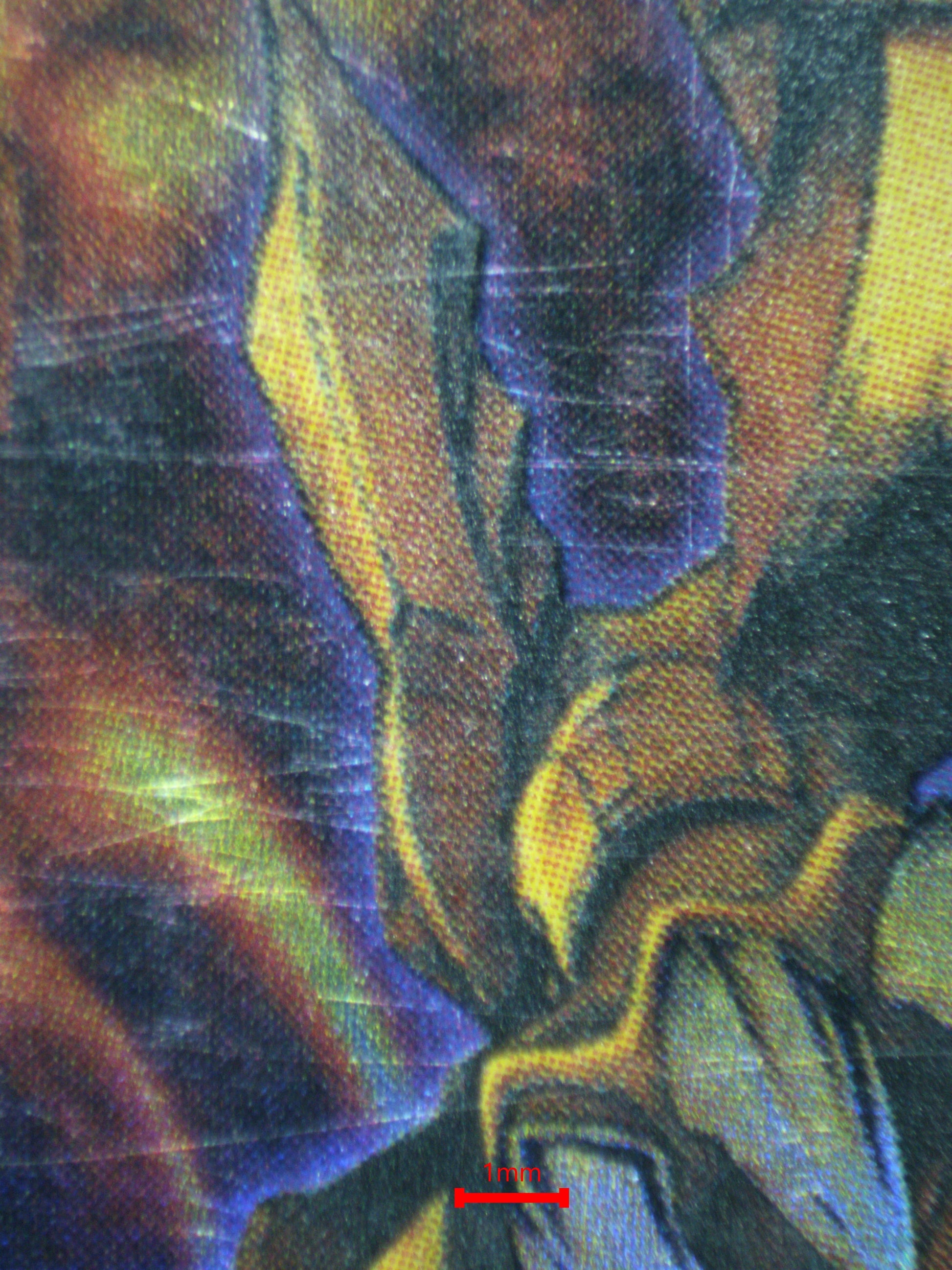 03661 THE WINGED DRAGON OF RA - ValueUp