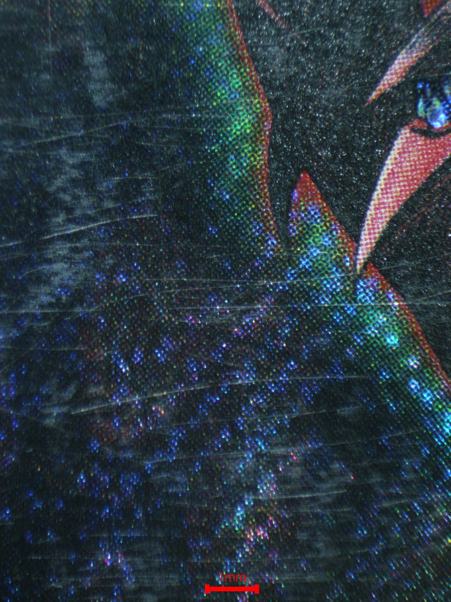 03662 SLIFER THE SKY DRAGON - ValueUp