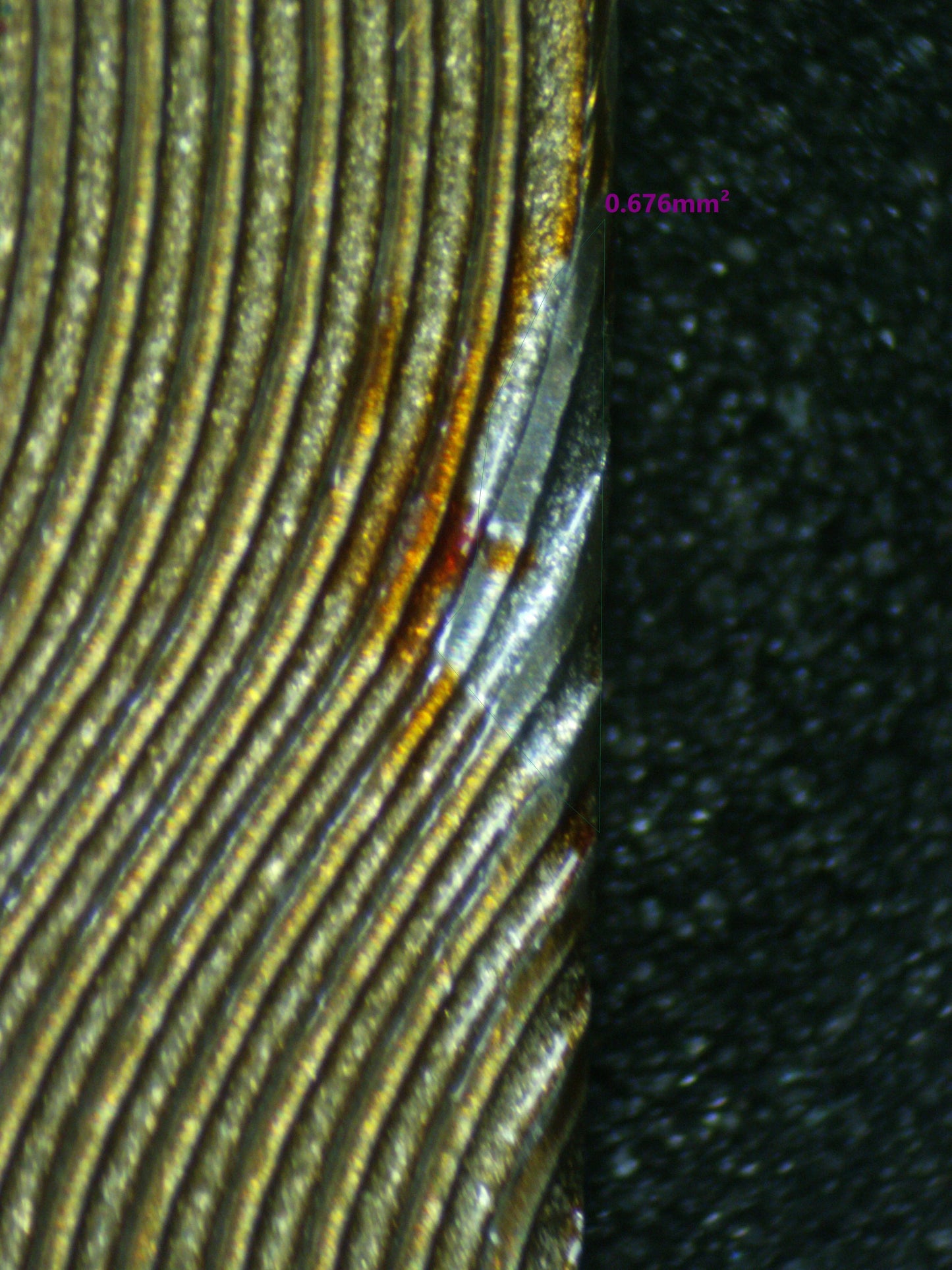 03668 MEW EX - ValueUp