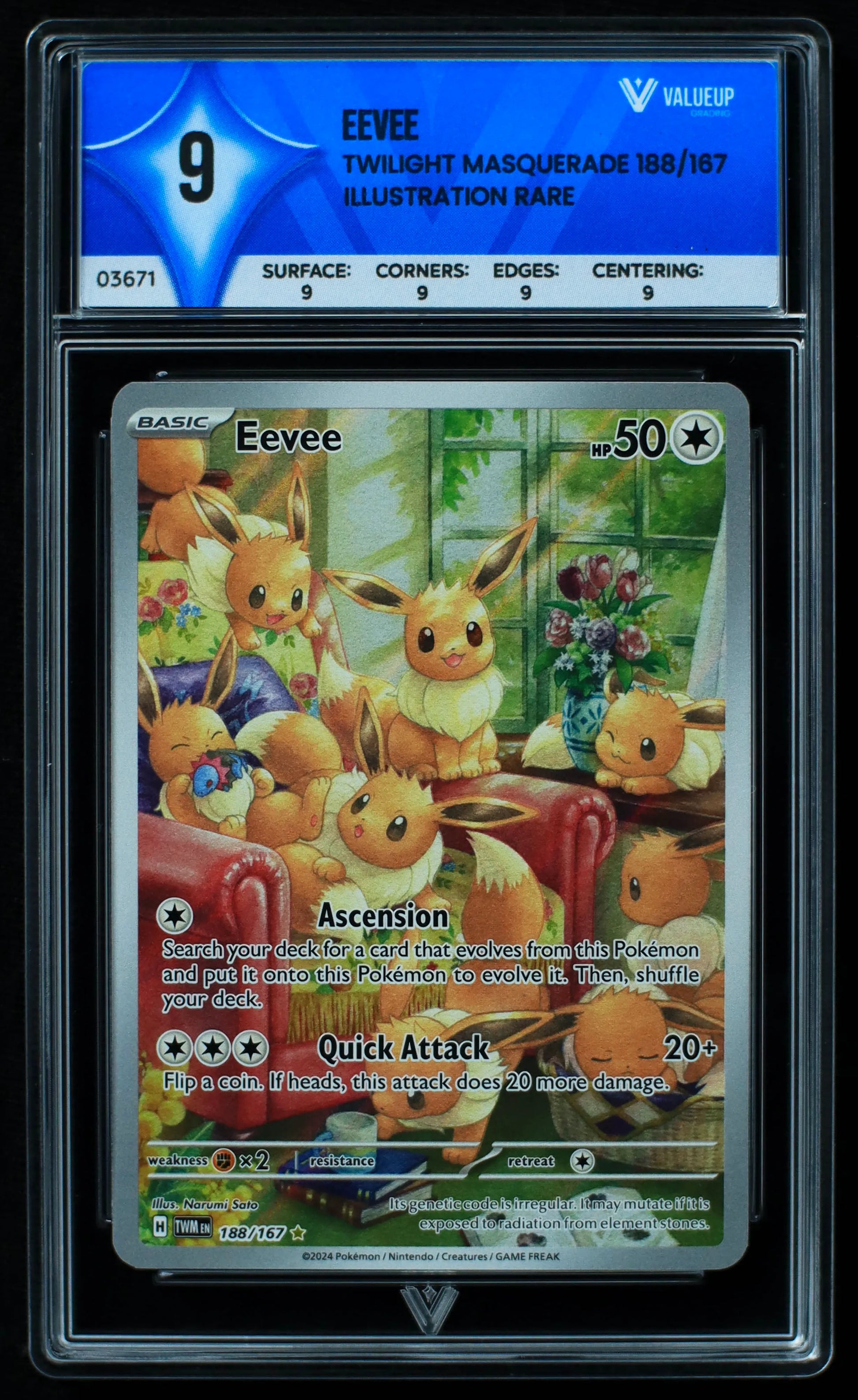 03671 EEVEE - ValueUp