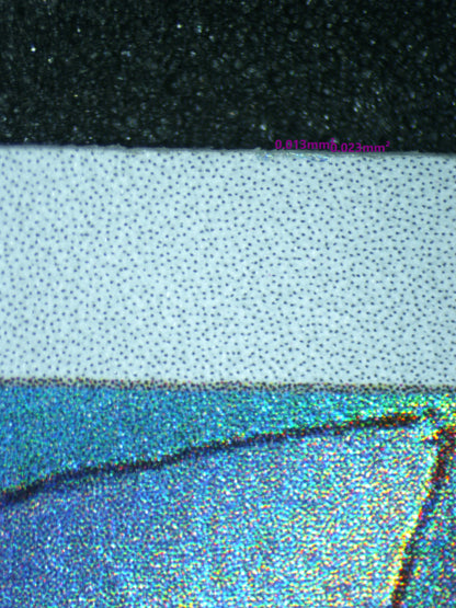 03672 GASTLY - ValueUp