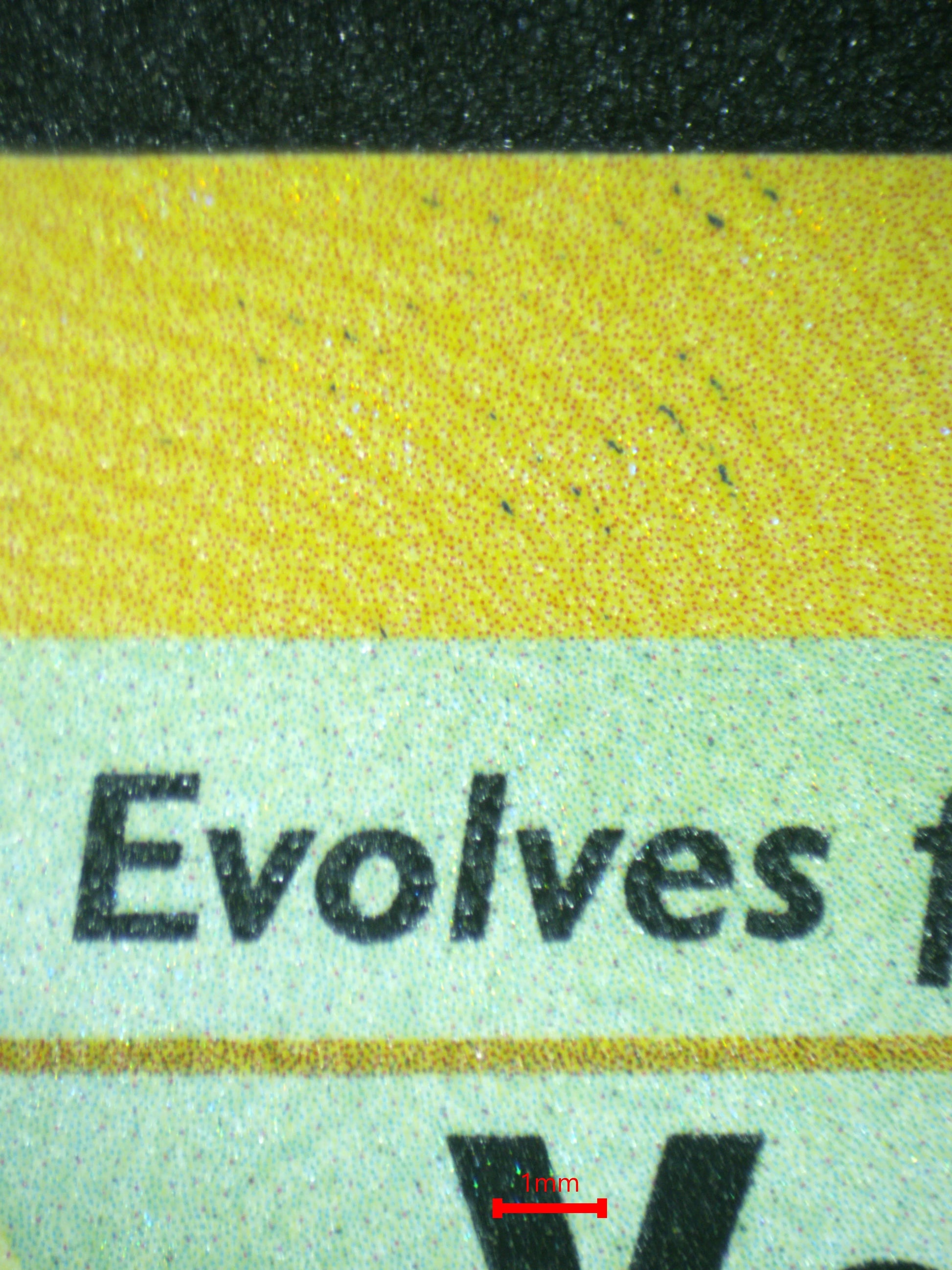 03675 VENUSAUR - ValueUp