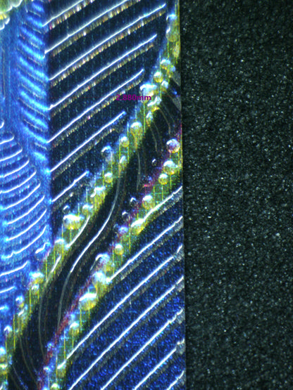 03684 M GYARADOS EX - ValueUp