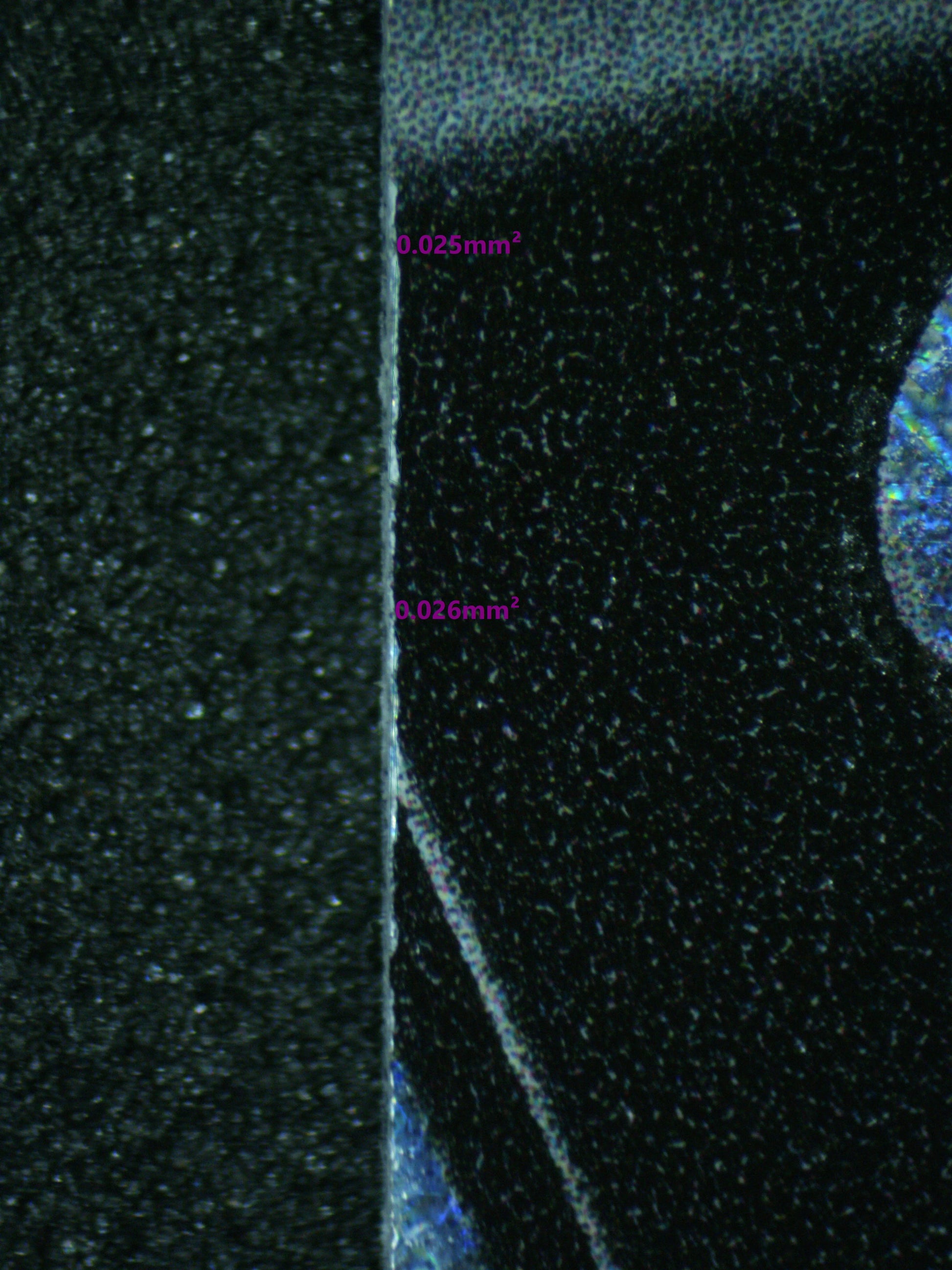 03689 GALARIAN MOLTRES V - ValueUp