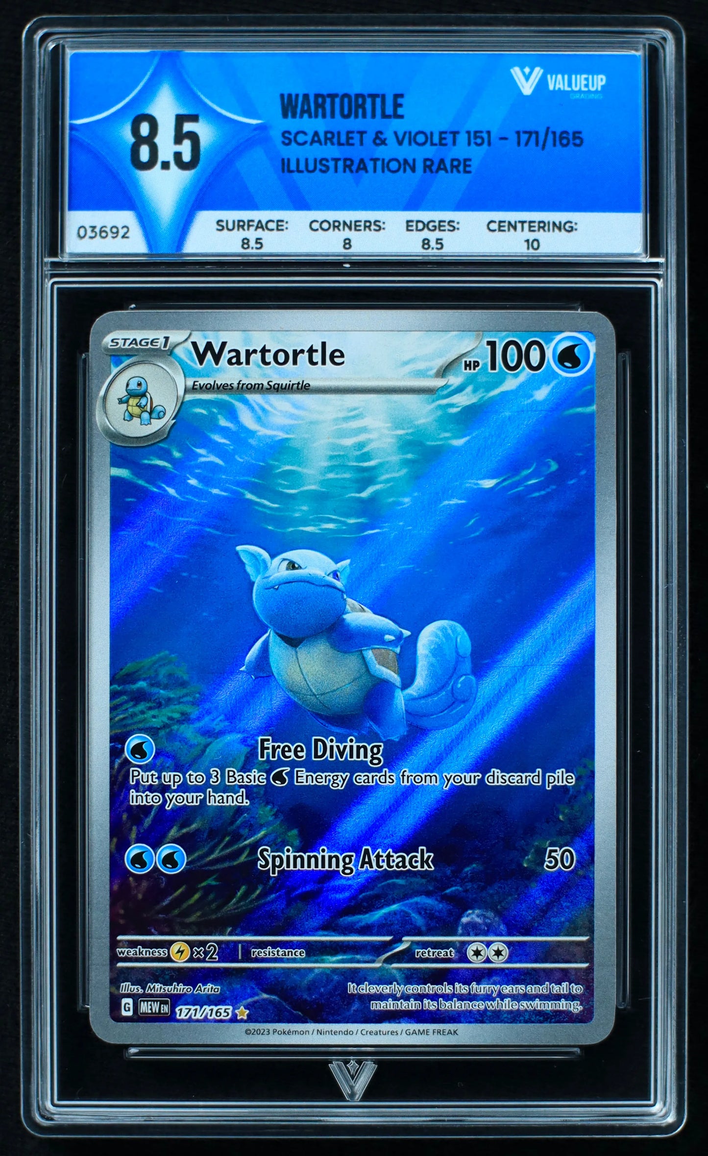 03692 WARTORTLE - ValueUp