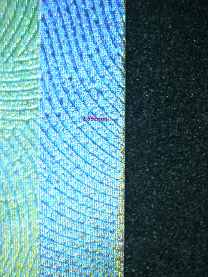 03695 VENUSAUR EX - ValueUp