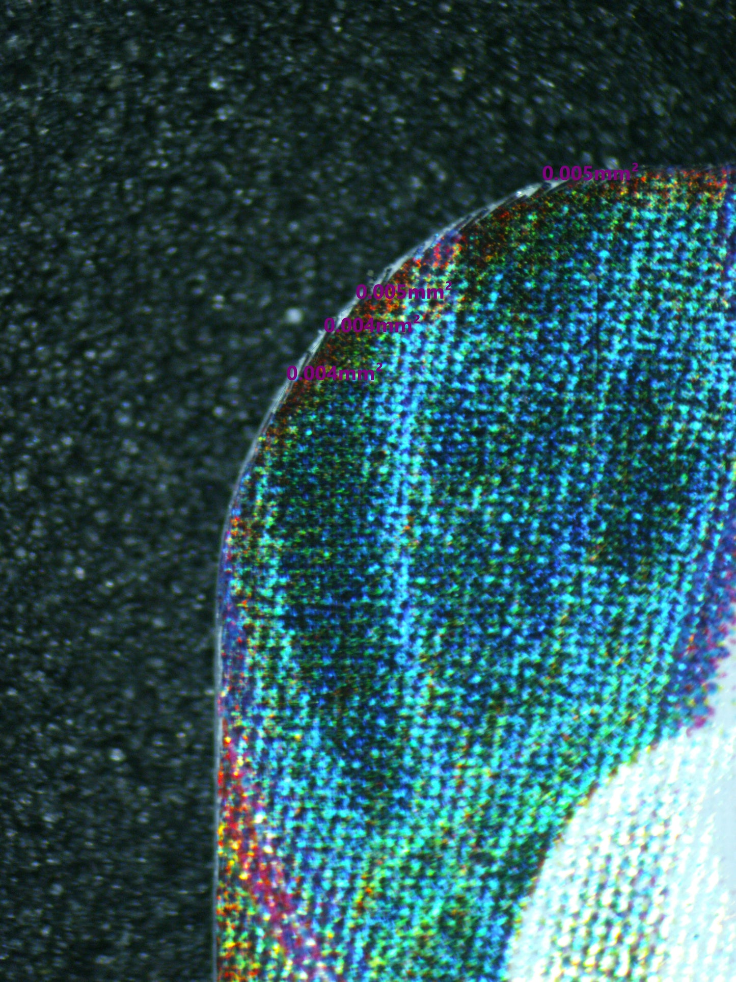 03736 UMBREON VMAX (KOREAN) - ValueUp