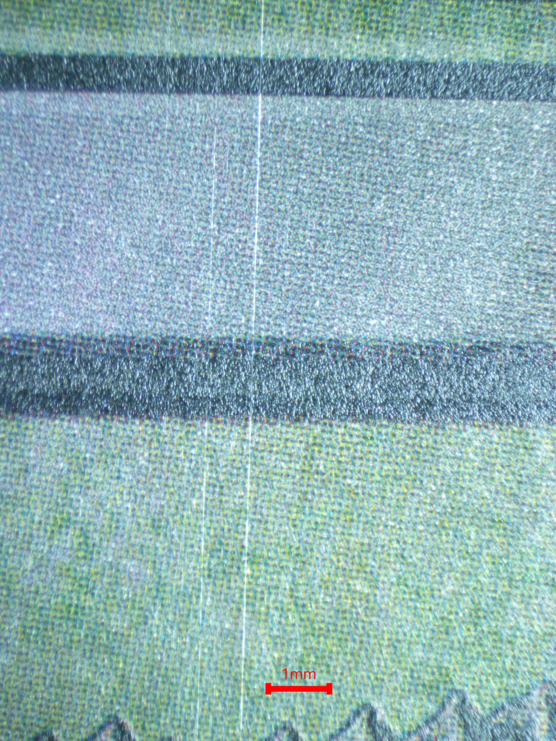 03772 SWAMP (MORDOR MAP) - ValueUp