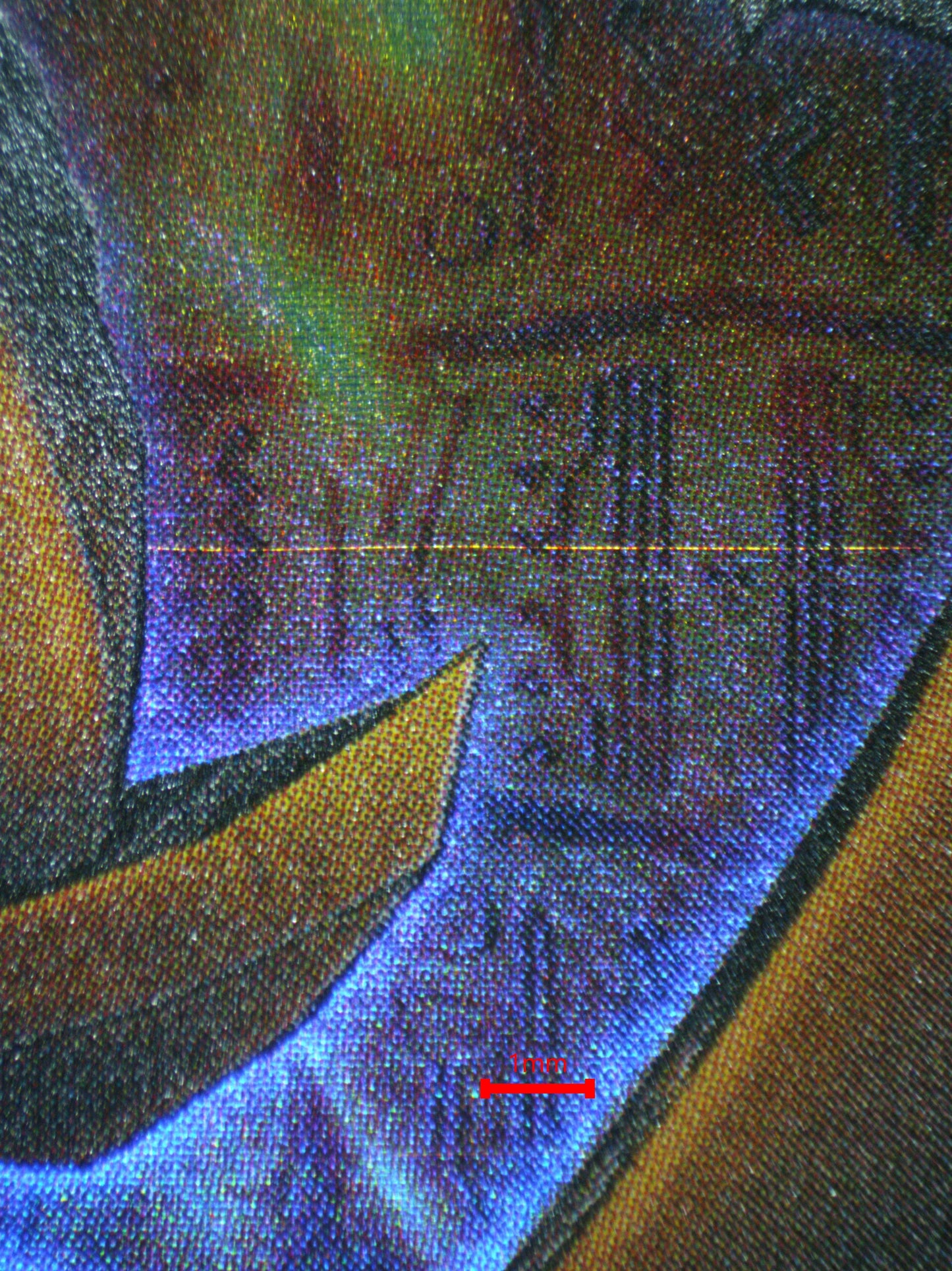 03792 THE WINGED DRAGON OF RA - ValueUp