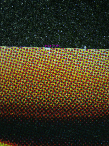 03794 SLIFER THE SKY DRAGON - ValueUp