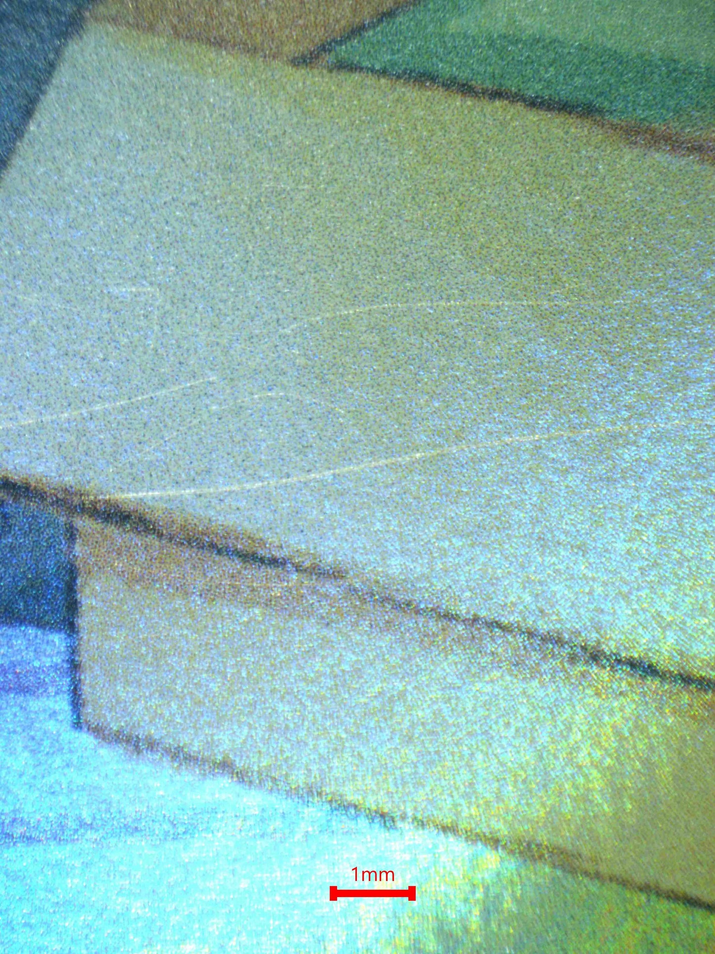 03827 RALTS - ValueUp