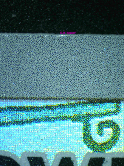 03833 SLOWPOKE (SPANISH) - ValueUp