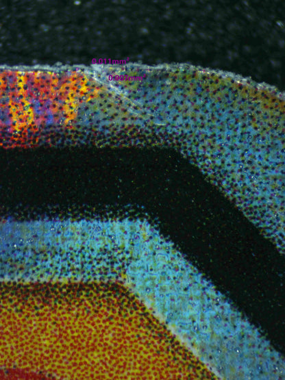 03849 CHARIZARD GX (SPANISH) - ValueUp