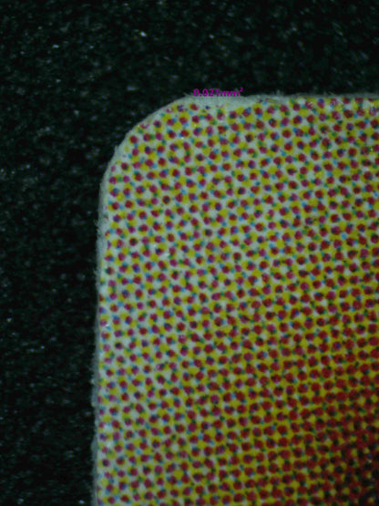 03859 TOON DARK MAGICIAN GIRL - ValueUp