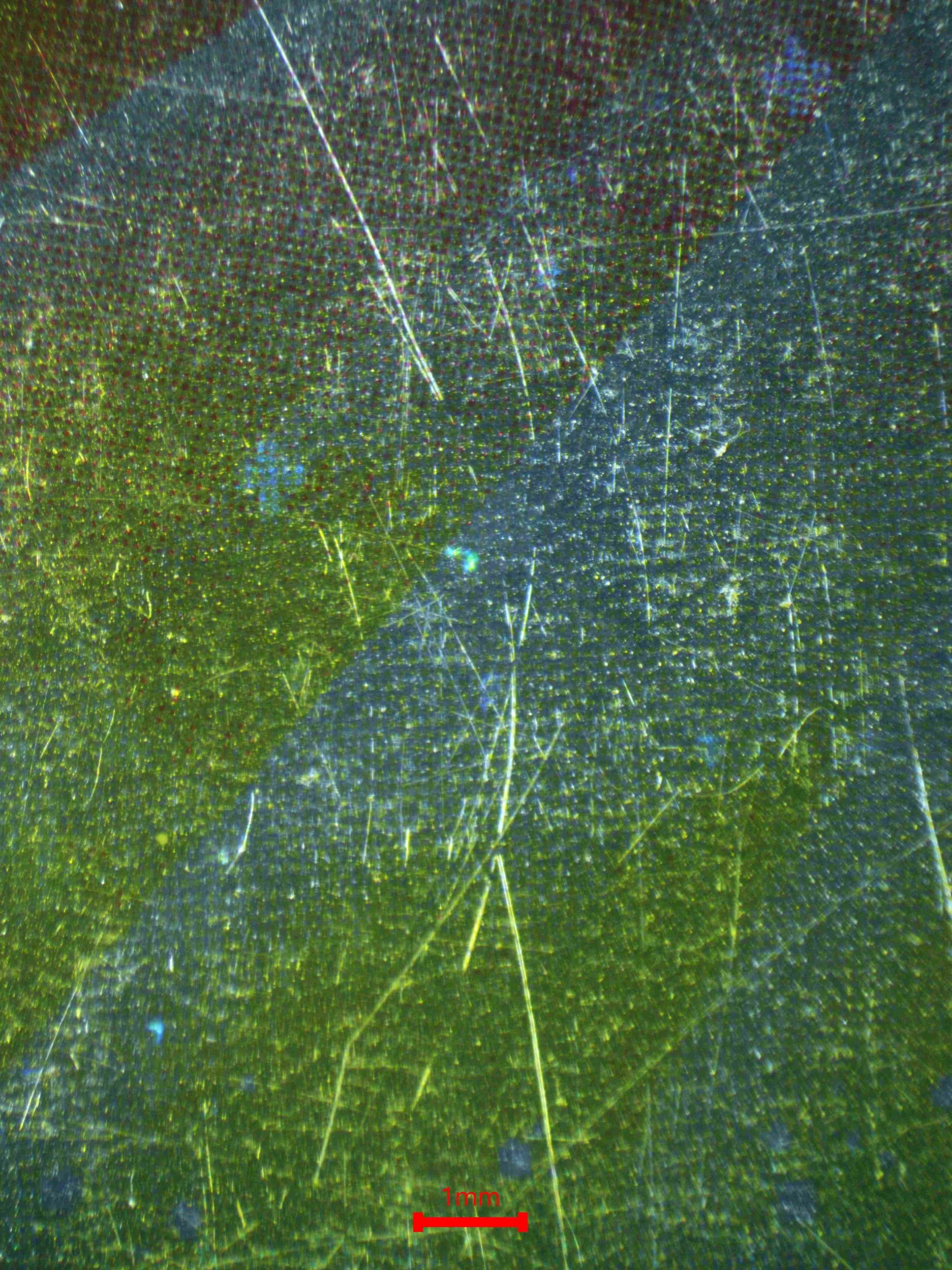 03884 DRAGONITE (FRENCH) - ValueUp