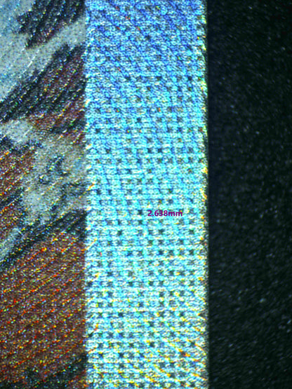 03886 KINGDRA EX - ValueUp