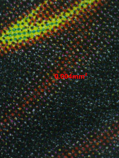 03892 MELFFY HIDE - AND - SEEK - ValueUp