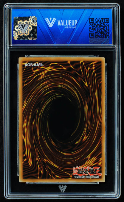 03892 MELFFY HIDE - AND - SEEK - ValueUp