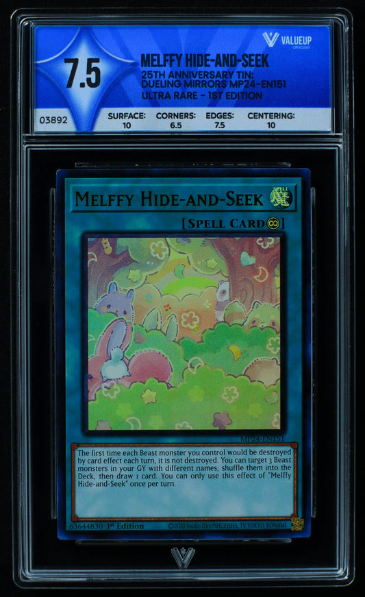 03892 MELFFY HIDE - AND - SEEK - ValueUp