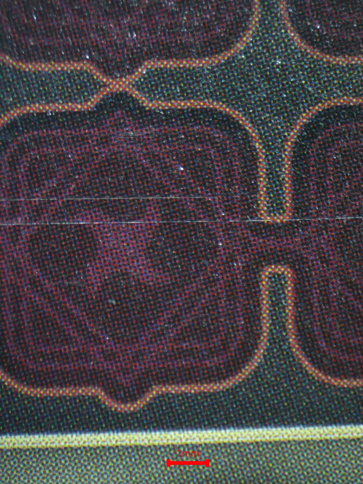 03894 OROCHIMARU - ValueUp