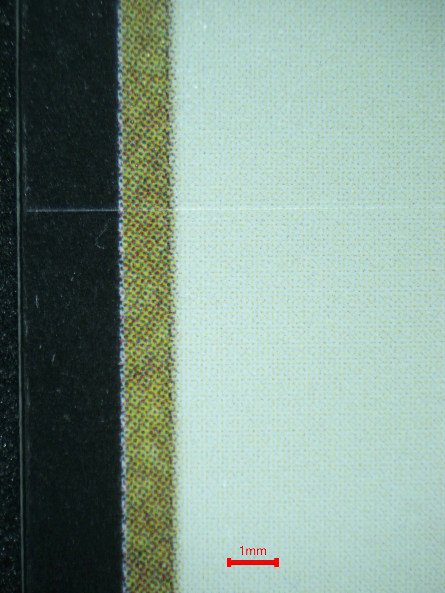 03897 KIBA INUZUKA - ValueUp