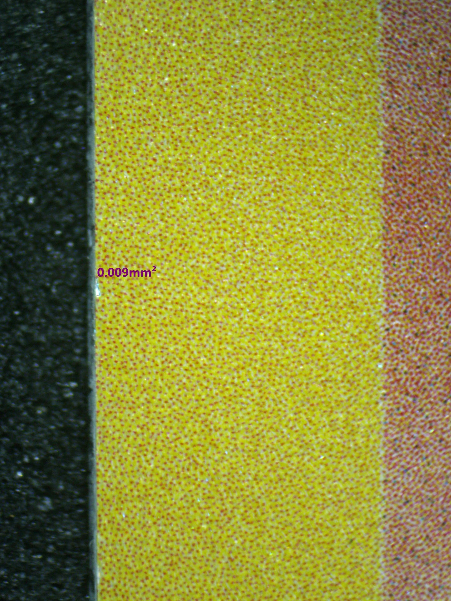 03924 CHARMELEON - ValueUp