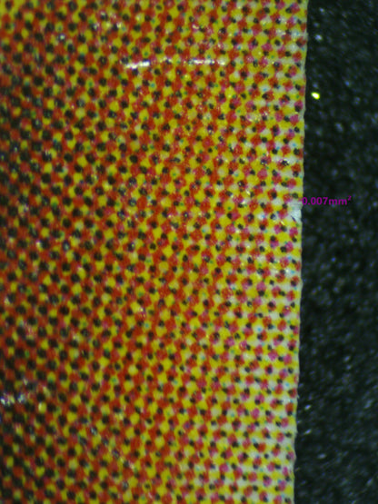 03941 RED - EYES BLACK DRAGON - ValueUp