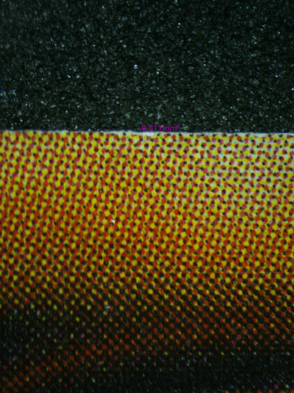 03942 DARK MAGICIAN - ValueUp