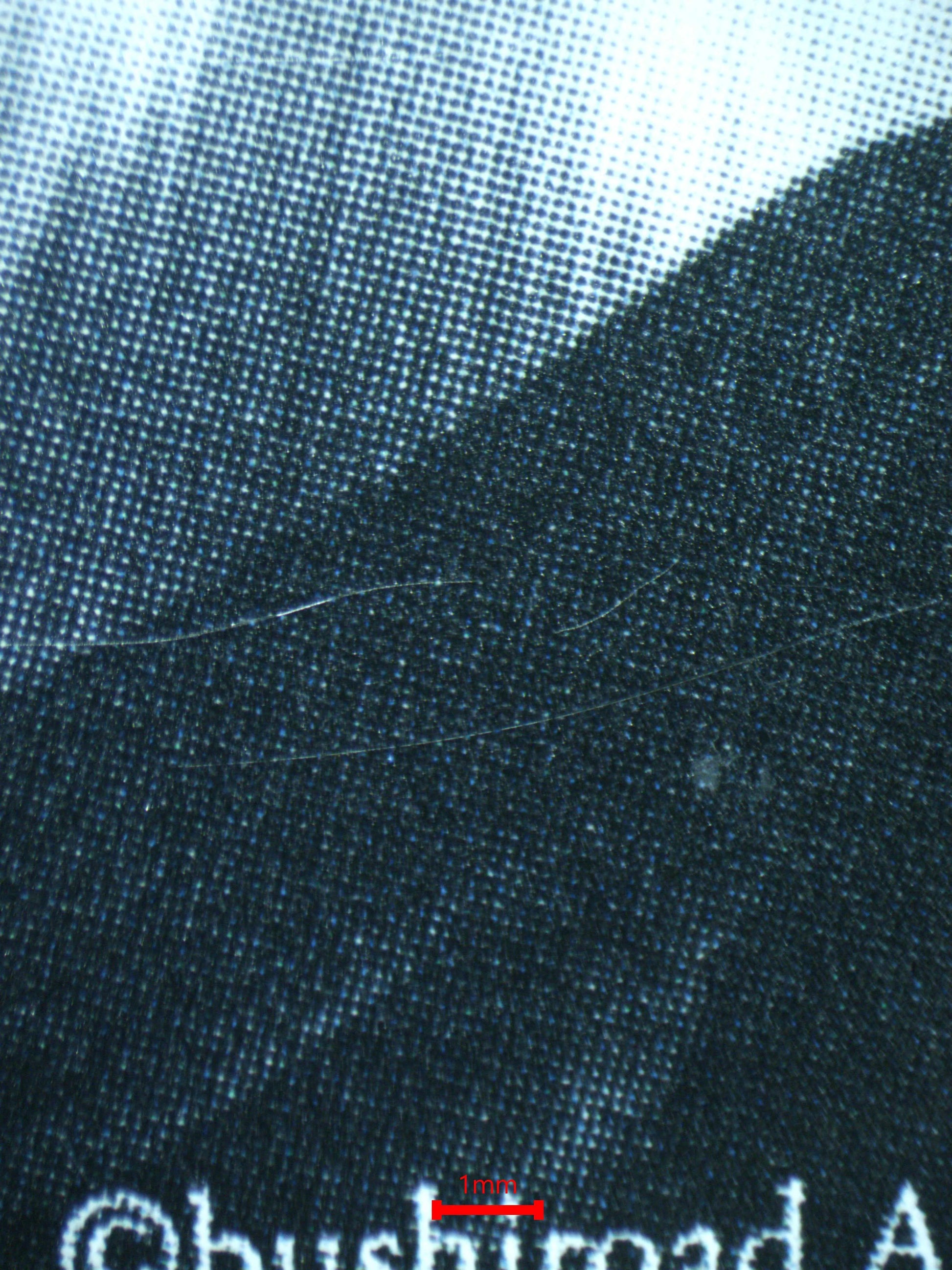 03992 CHISAKI, SUMMER RHAPSODY (JAPANESE) - ValueUp