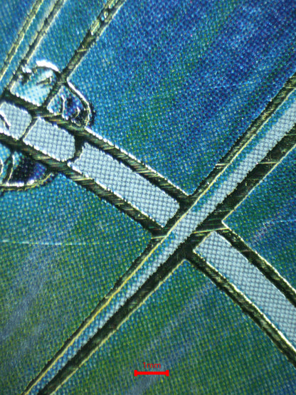 03995 VEGETA - ValueUp