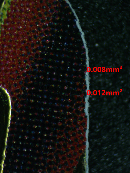 04000 SON GOHAN : ADOLESCENCE - ValueUp