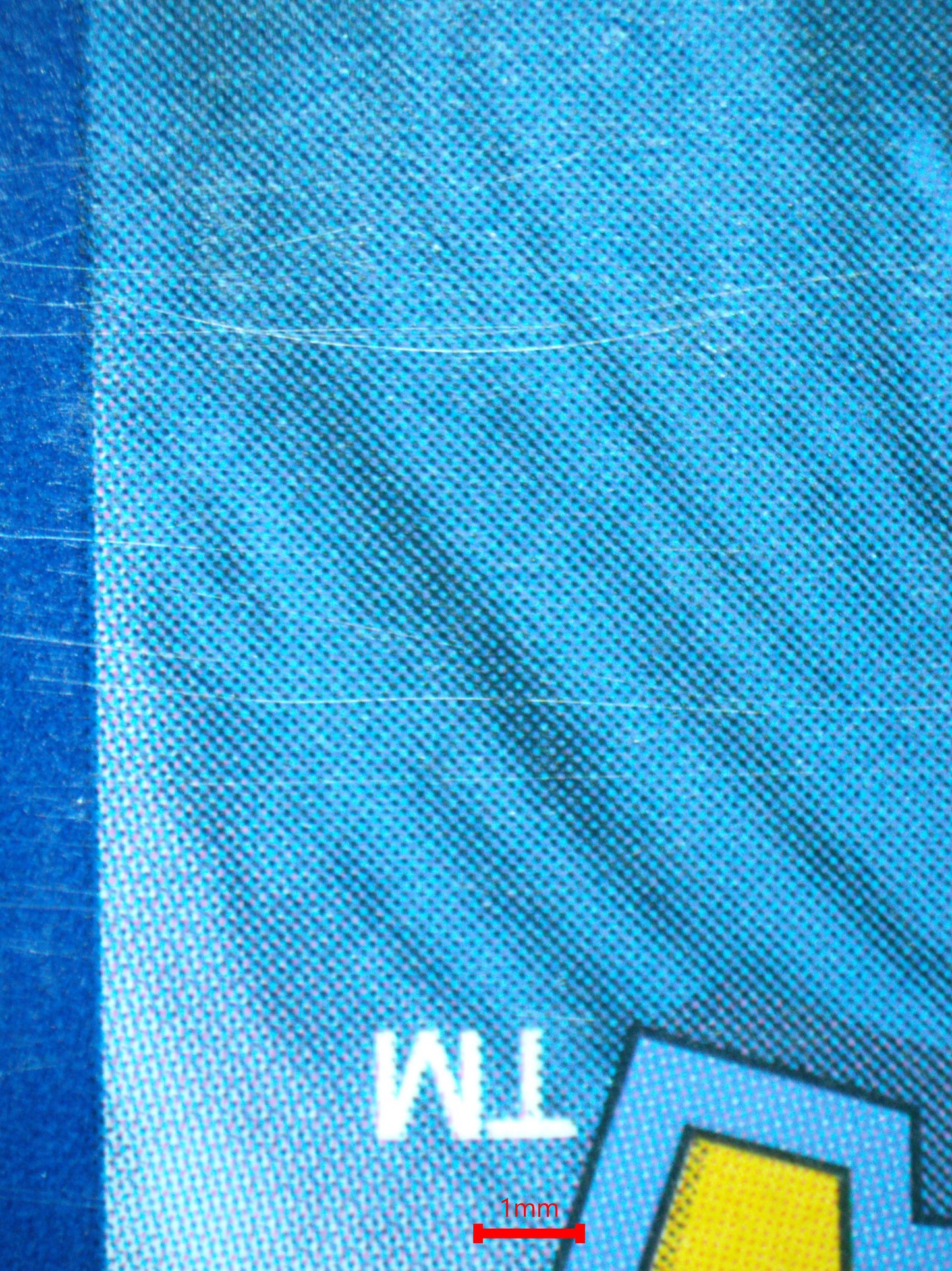 04006 CINTHYA´S AMBITION - ValueUp