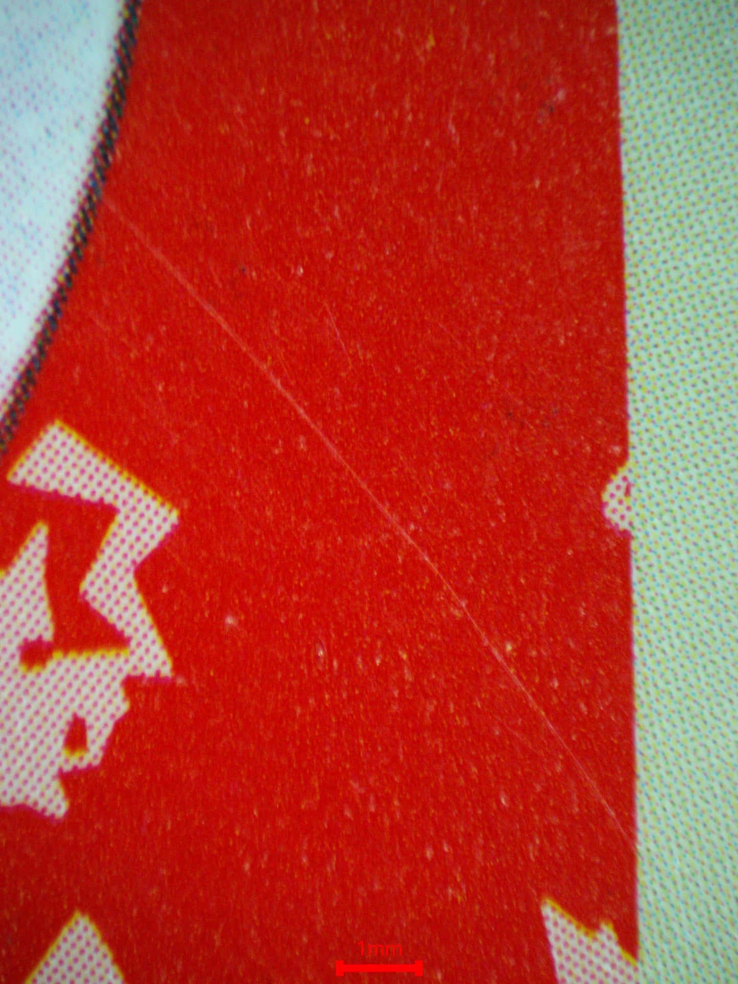 04020 ELECTRODE 101 (JAPANESE) - ValueUp