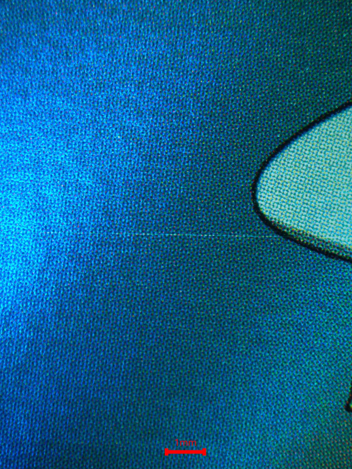 04027 DRAMPA (JAPANESE) - ValueUp