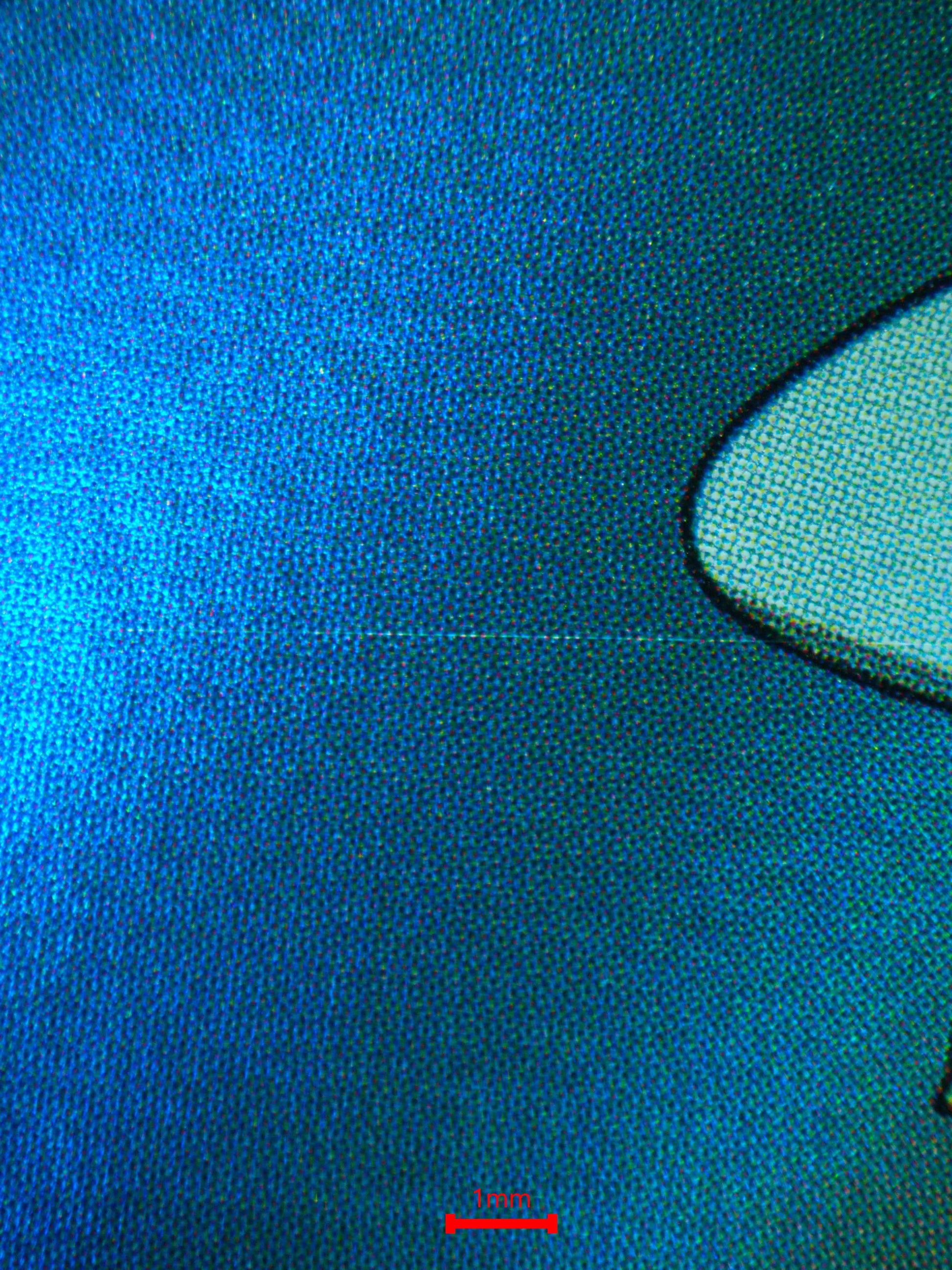 04027 DRAMPA (JAPANESE) - ValueUp