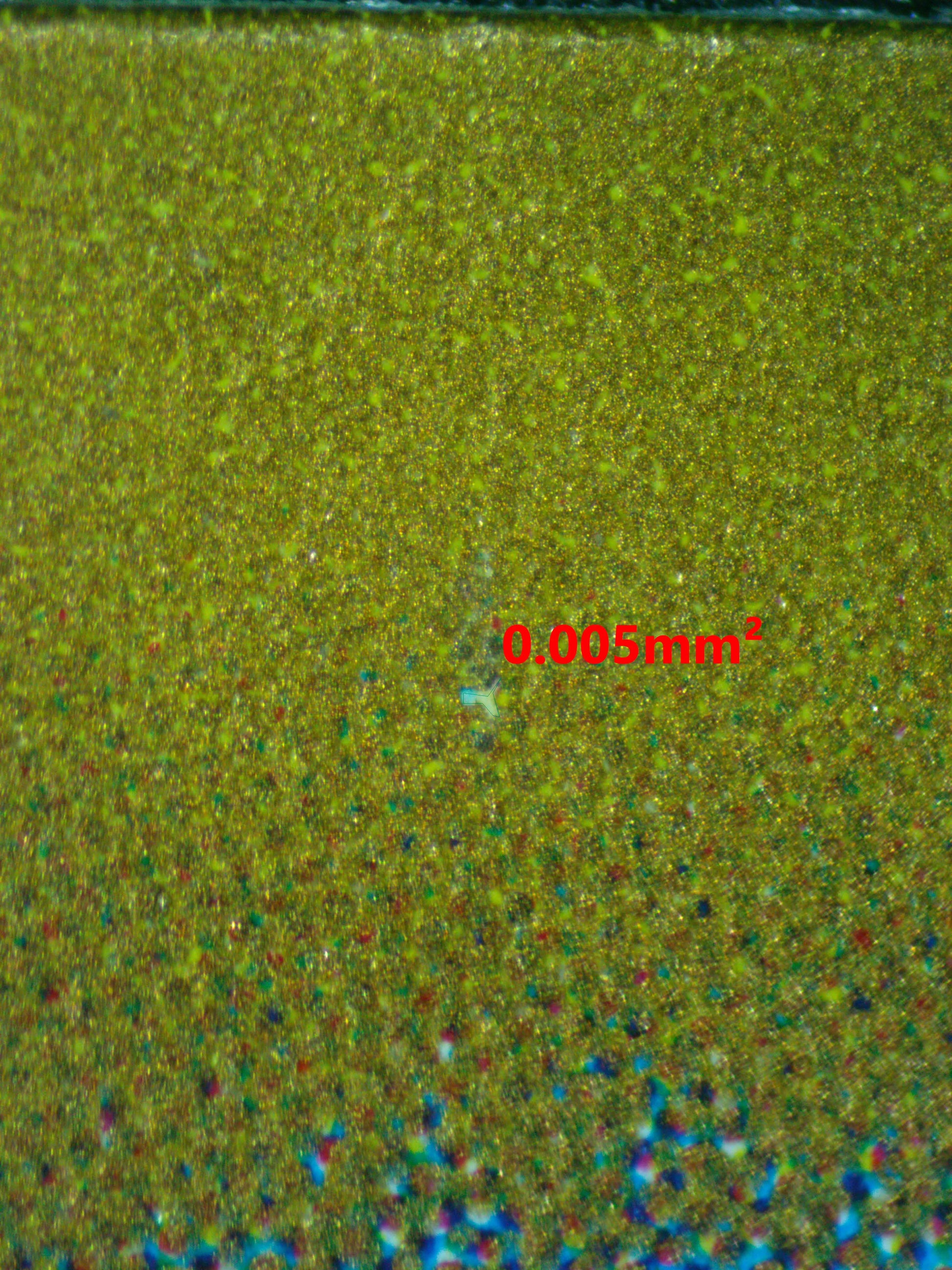 04030 SHIFTRY (JAPANESE) - ValueUp