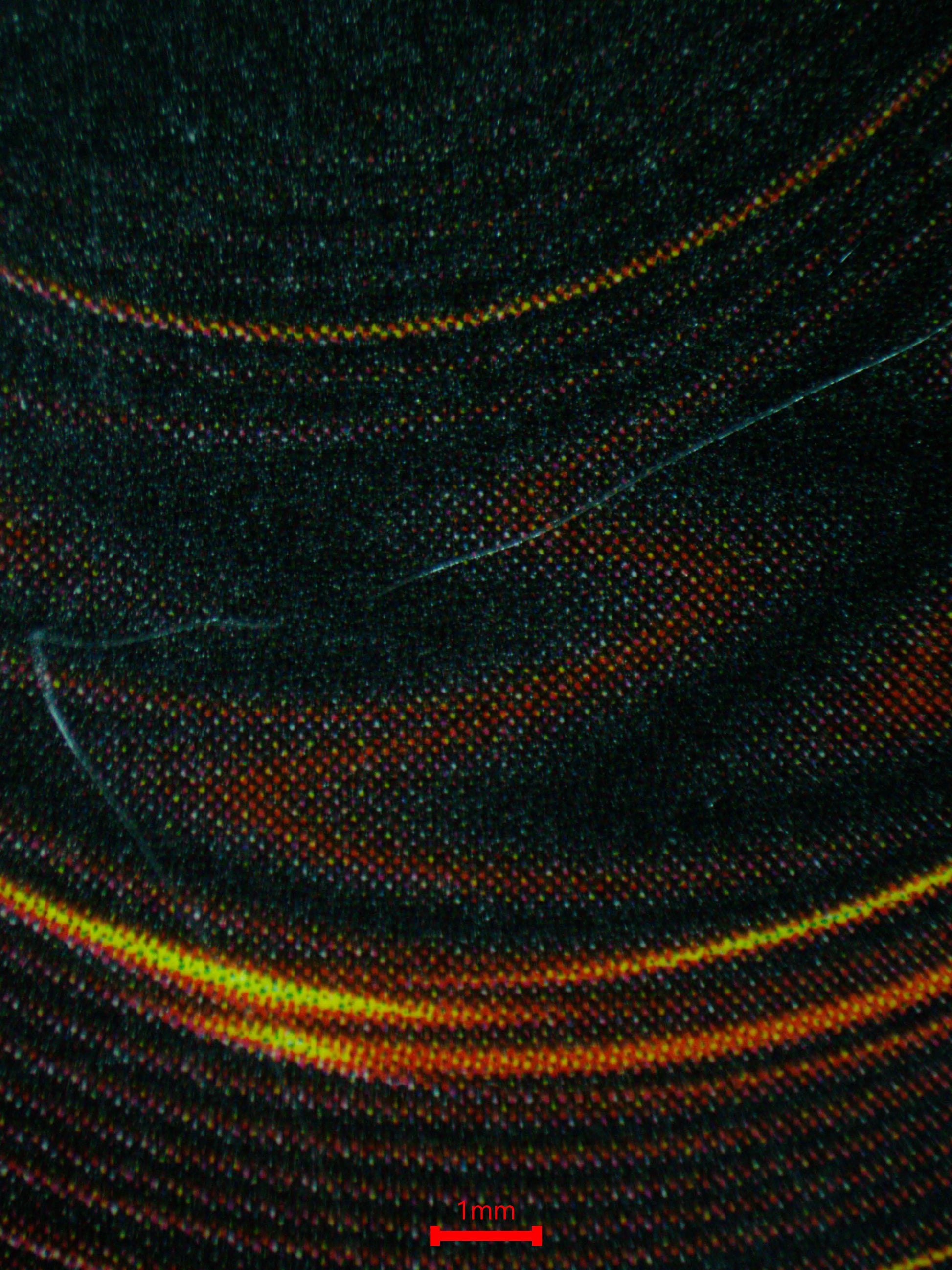 04039 BLUE - EYES WHITE DRAGON - ValueUp