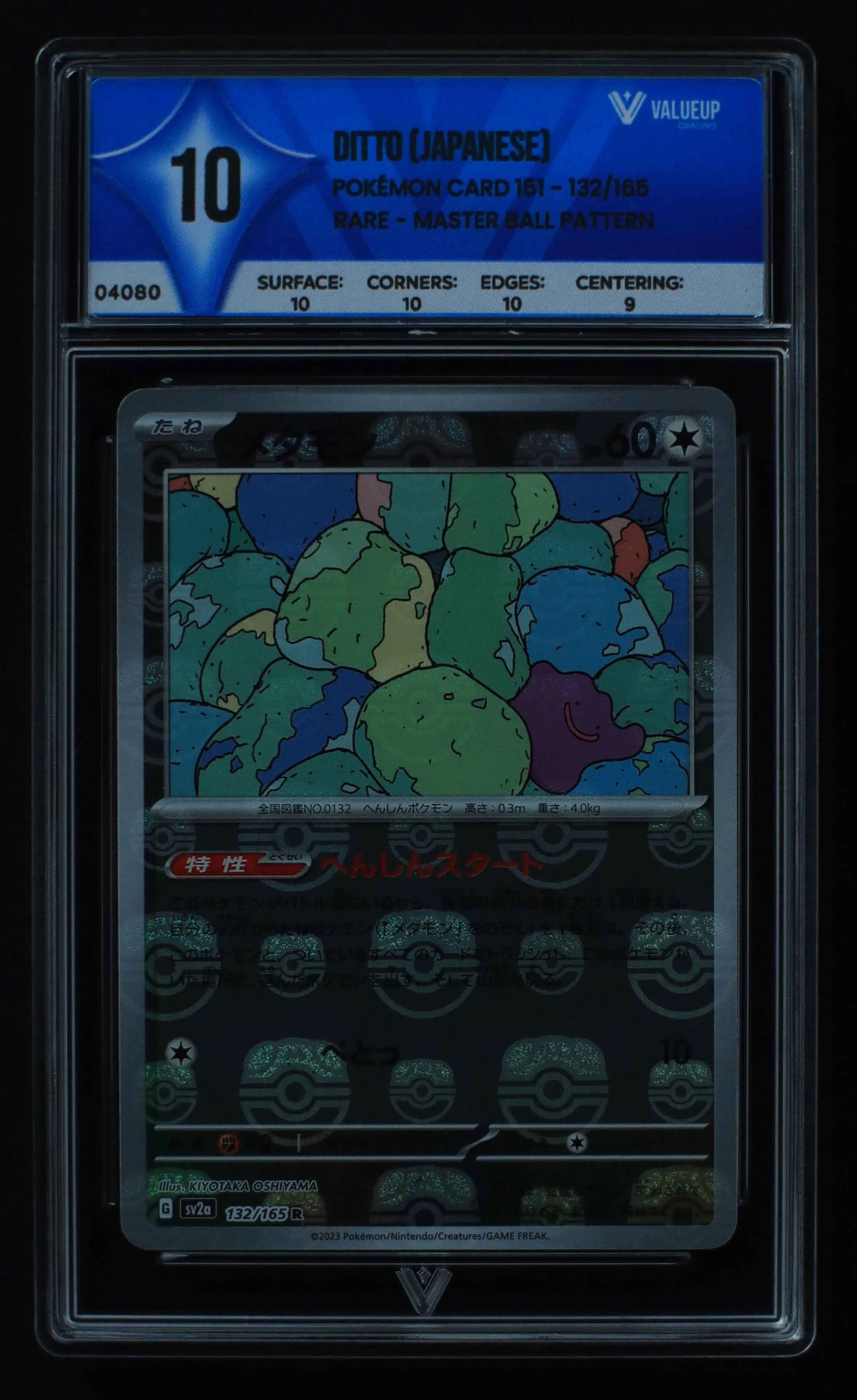 04080 DITTO (JAPANESE) - ValueUp