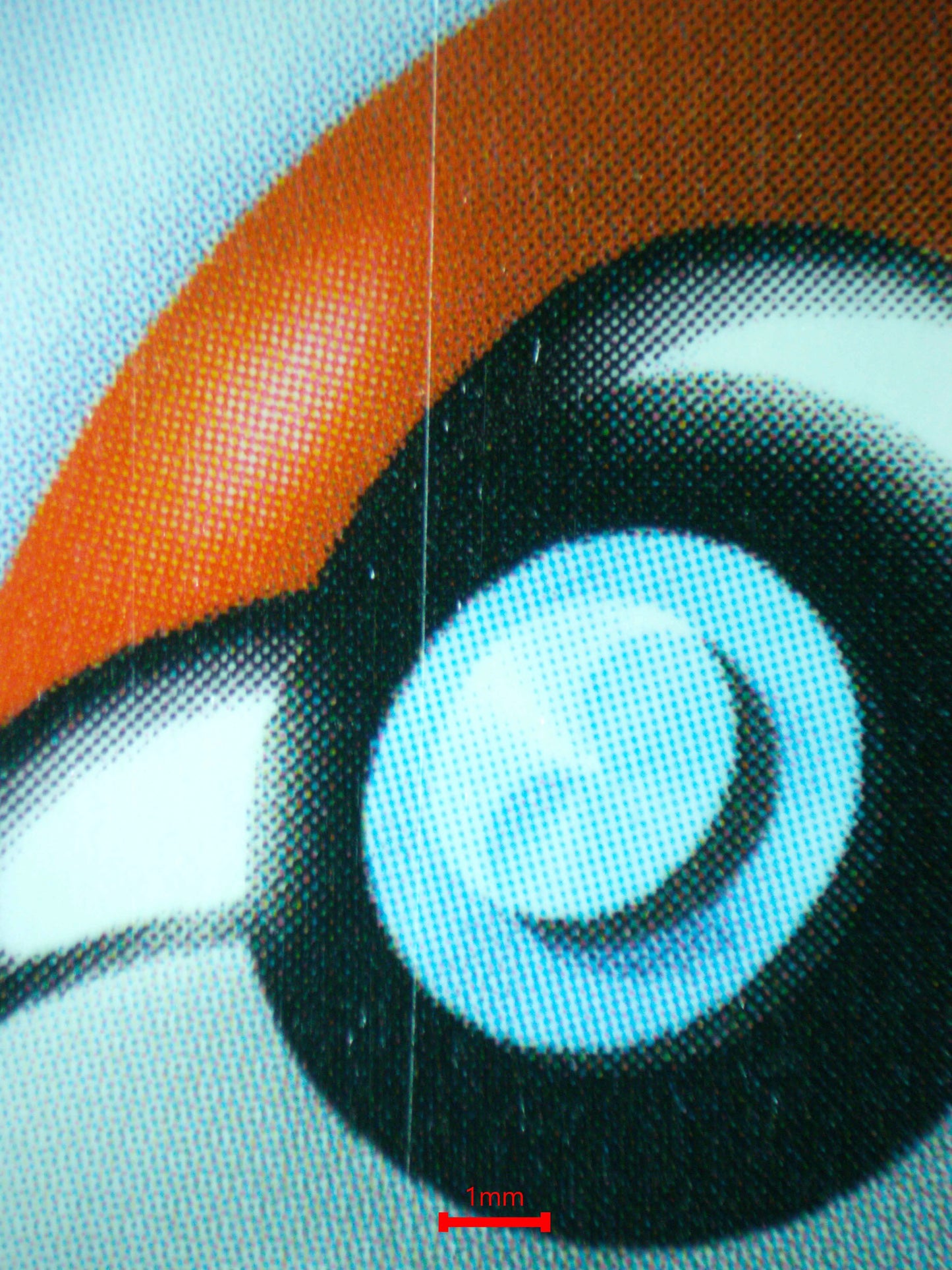 04092 MALLOW & LANA - ValueUp